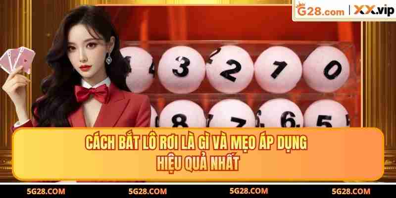 Cách Bắt Lô Rơi Là Gì Và Mẹo Áp Dụng Hiệu Quả Nhất