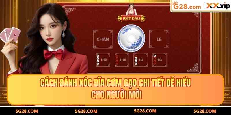 Cách Đánh Xóc Đĩa Cơm Gạo Chi Tiết Dễ Hiểu Cho Người Mới