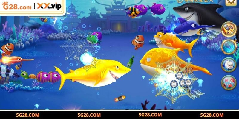 Chiến thuật Vua Hải Tặc từ những chuyên gia