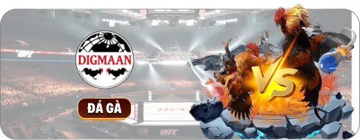 Đá gà Trực tiếp