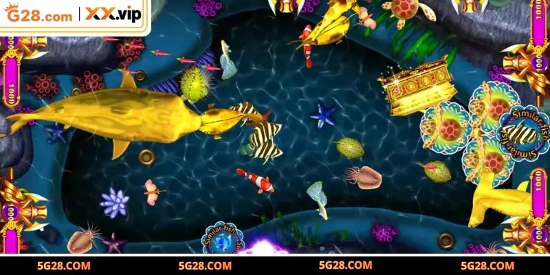 Lý do nên trải nghiệm Vua Hải Tặc G28